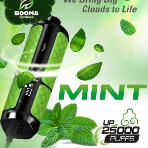 Mint 300x300
